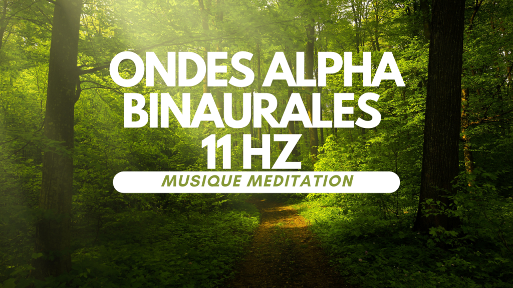 one alpha binaurale spécial pour la méditation.