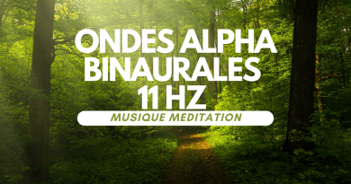 one alpha binaurale spécial pour la méditation.